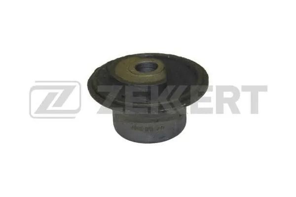 Bushing, axle beam (GM-5007)