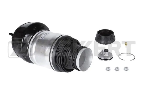 Air Spring, suspension (LD-1366)