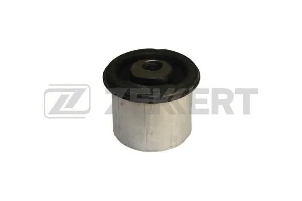 Mounting, control/trailing arm (GM-5064)
