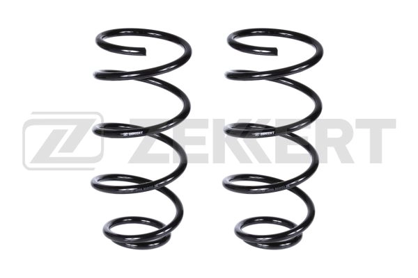 Suspension Spring (SF-2058)