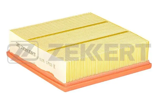 Air Filter (LF-2176)