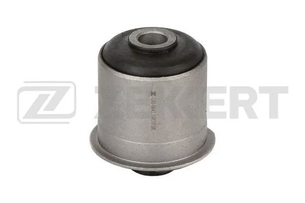 Mounting, control/trailing arm (GM-6841)