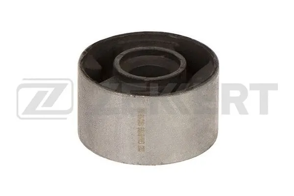 Mounting, control/trailing arm (GM-6198)