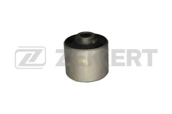 Mounting, control/trailing arm (GM-5951)