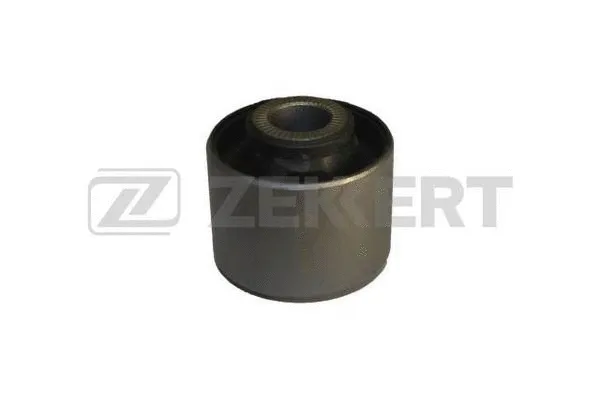 Mounting, control/trailing arm (GM-5711)