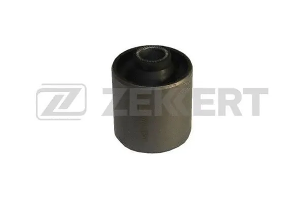 Mounting, control/trailing arm (GM-5896)