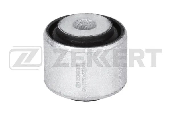 Mounting, control/trailing arm (GM-5375)