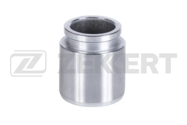 Piston, brake caliper (BR-1556)