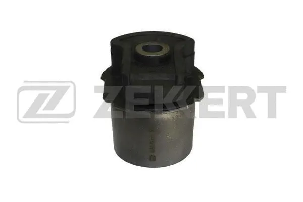 Bushing, axle beam (GM-5958)