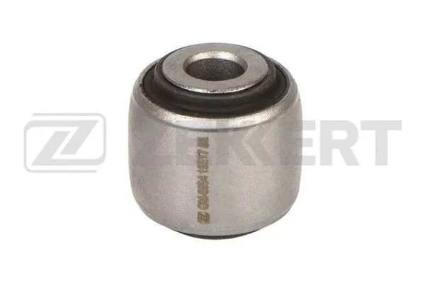 Mounting, control/trailing arm (GM-6894)