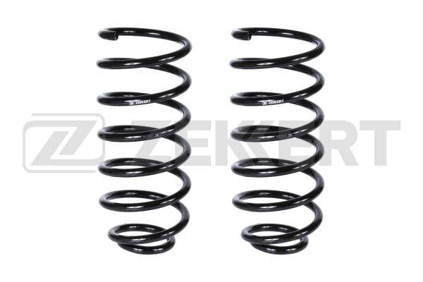 Suspension Spring (SF-2545)