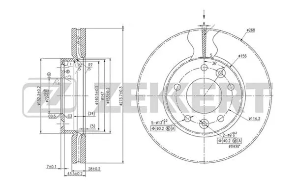 Brake Disc (BS-5691)