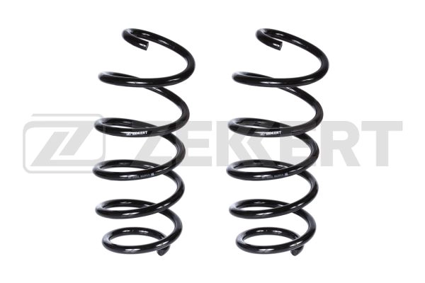 Suspension Spring (SF-2202)