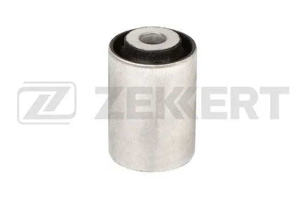 Mounting, control/trailing arm (GM-6916)