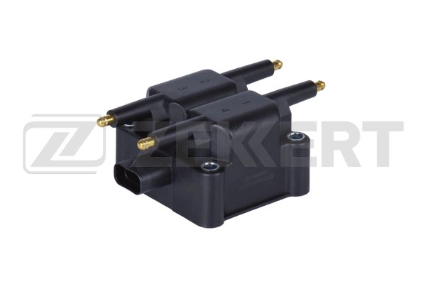 Ignition Coil (ZS-1019)