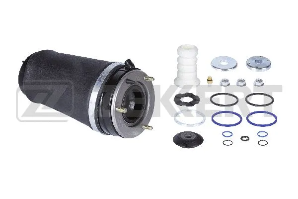 Air Spring, suspension (LD-1369)