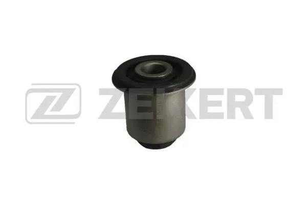Mounting, control/trailing arm (GM-5270)