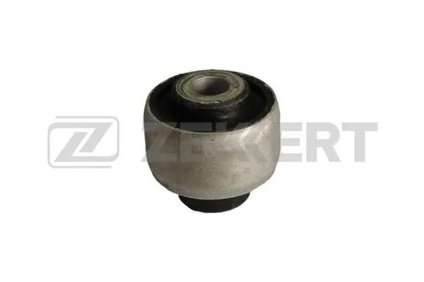 Mounting, control/trailing arm (GM-5196)