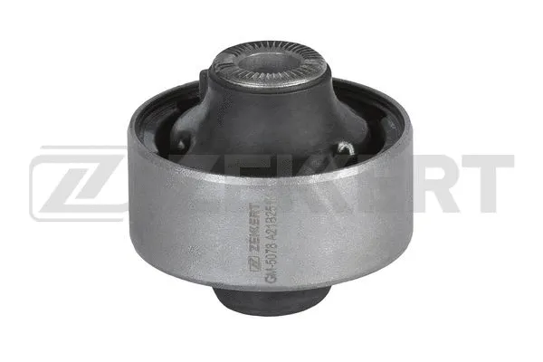 Mounting, control/trailing arm (GM-5078)