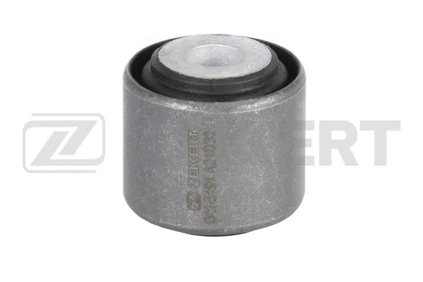 Mounting, control/trailing arm (GM-5191)