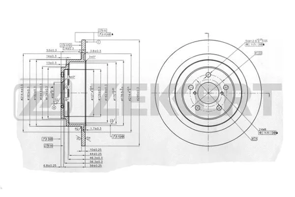 Brake Disc (BS-5324)