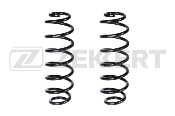 Suspension Spring (SF-2120)