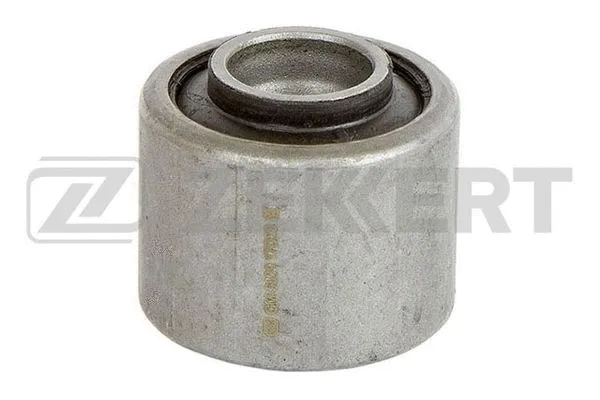 Mounting, control/trailing arm (GM-5829)