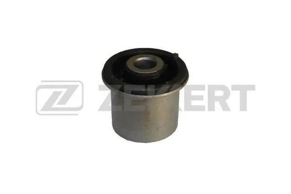 Mounting, control/trailing arm (GM-5594)