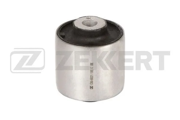Mounting, control/trailing arm (GM-6821)