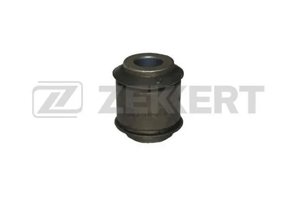 Mounting, control/trailing arm (GM-5731)