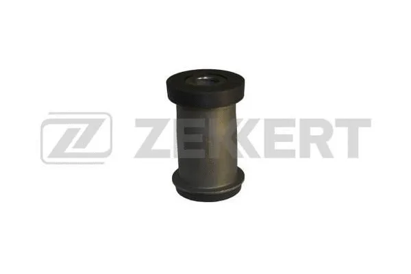 Mounting, control/trailing arm (GM-5866)
