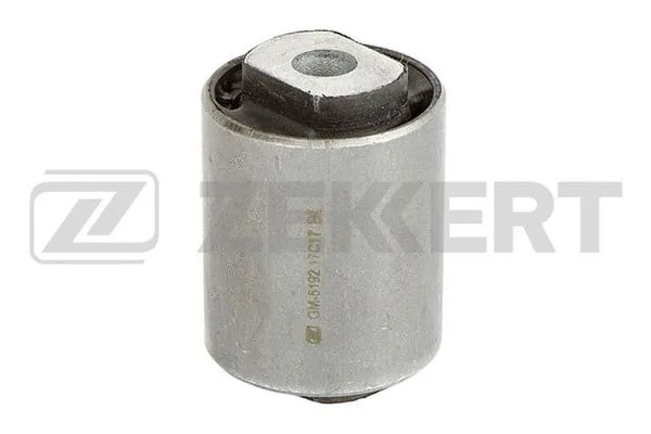 Mounting, control/trailing arm (GM-5192)
