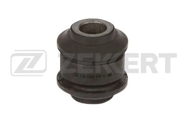 Mounting, control/trailing arm (GM-6908)