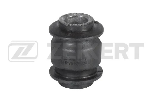 Mounting, control/trailing arm (GM-5175)