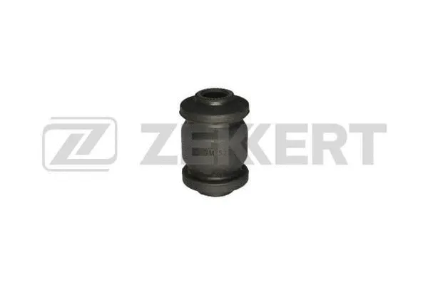 Mounting, control/trailing arm (GM-5299)