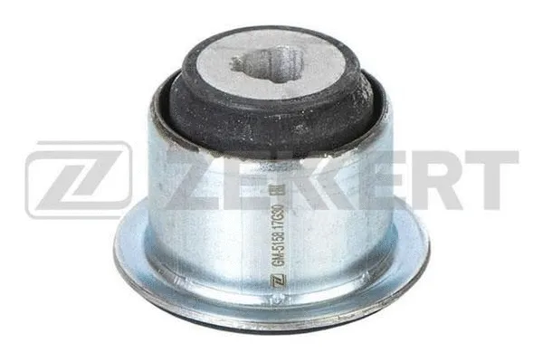 Mounting, control/trailing arm (GM-5158)