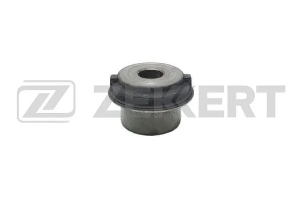 Mounting, control/trailing arm (GM-5124)