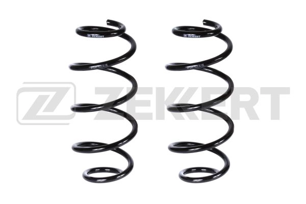 Suspension Spring (SF-2065)