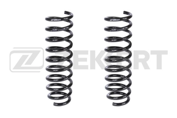 Suspension Spring (SF-2494)