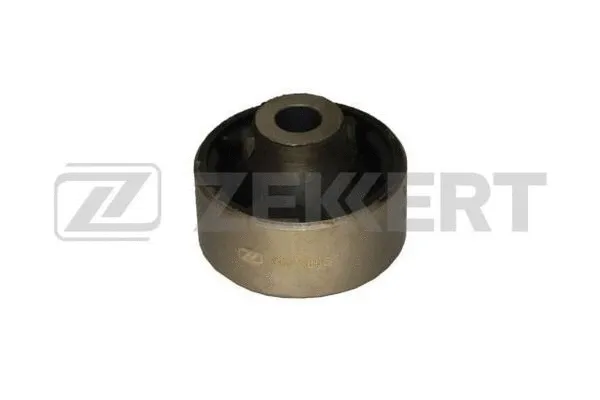 Mounting, control/trailing arm (GM-5805)