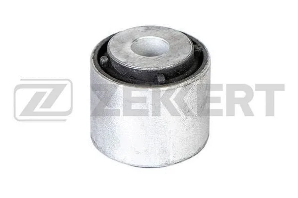 Mounting, control/trailing arm (GM-5128)