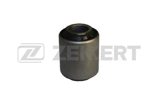 Mounting, control/trailing arm (GM-5719)