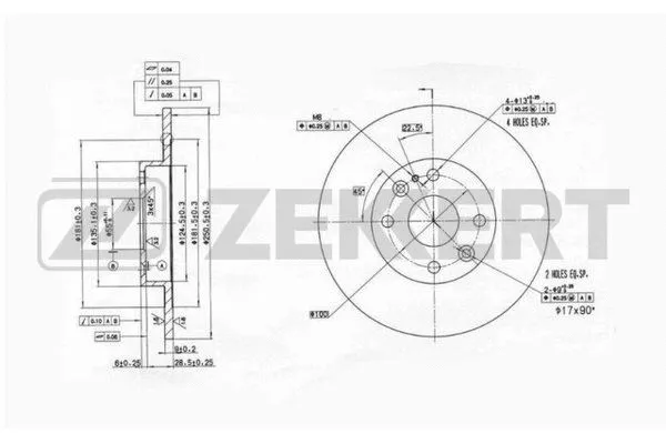 Brake Disc (BS-6060)