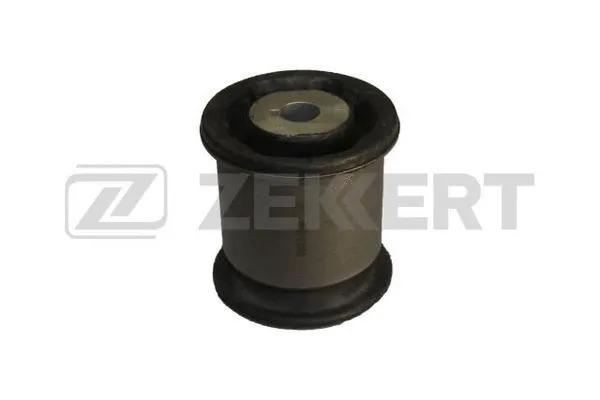 Mounting, control/trailing arm (GM-5066)