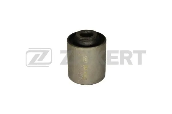 Mounting, control/trailing arm (GM-5303)