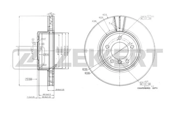 Brake Disc (BS-5603)