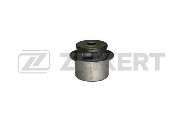 Mounting, control/trailing arm (GM-5673)