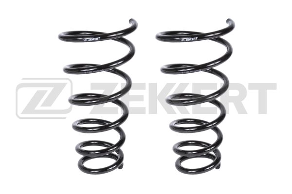 Suspension Spring (SF-2189)