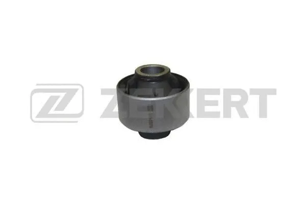 Mounting, control/trailing arm (GM-5374)