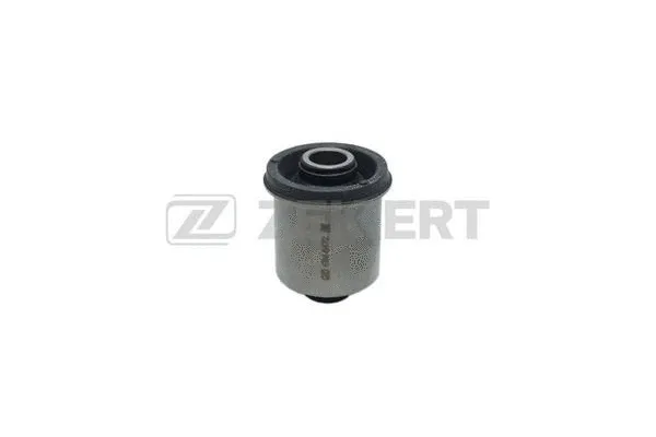 Mounting, control/trailing arm (GM-6472)